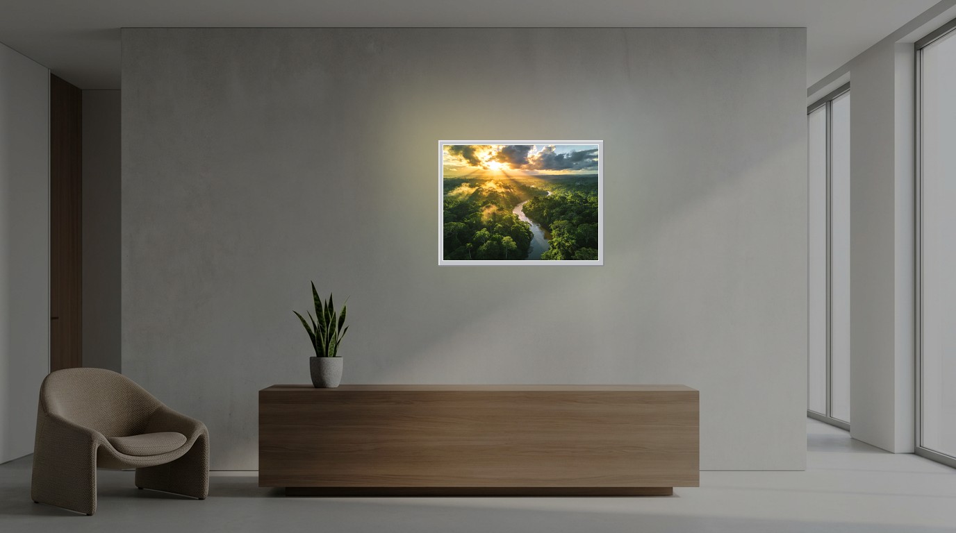 Amazonas-Regenwald als Lichtposter im Büro