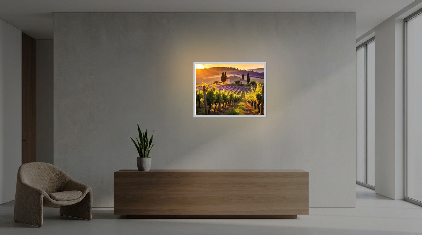 Weinberge der Provence als Lichtposter im Büro