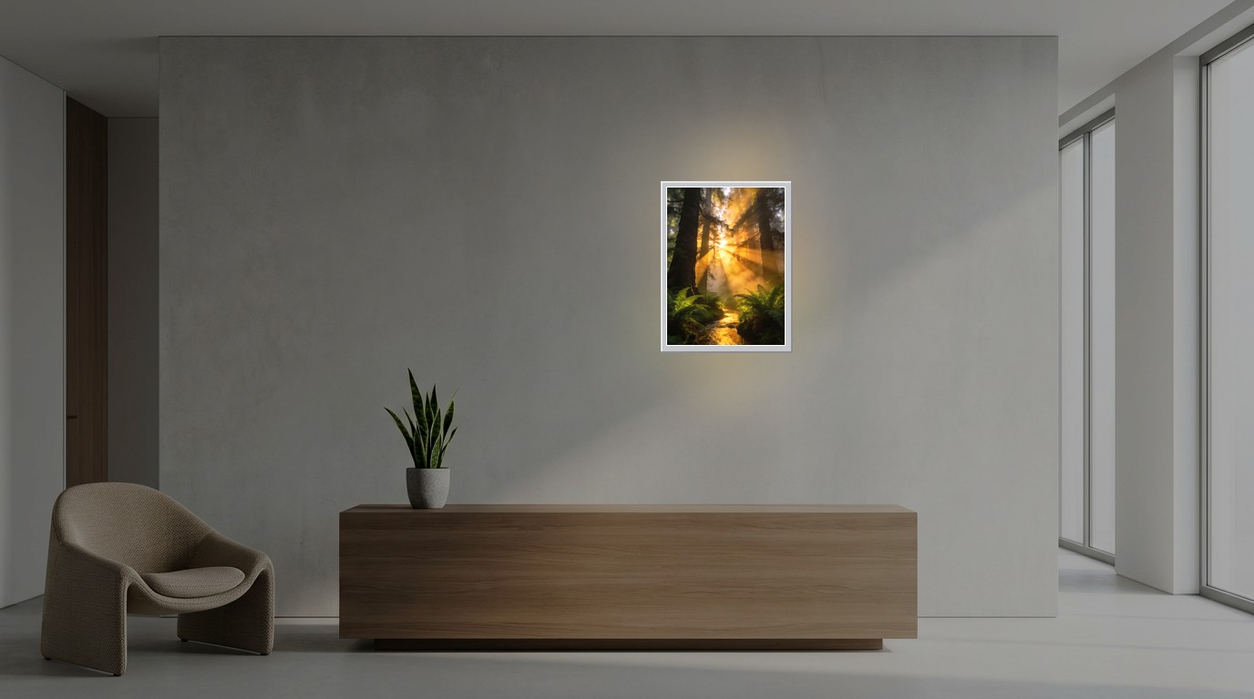 Wald im Sonnenaufgang als Lichtposter im Büro